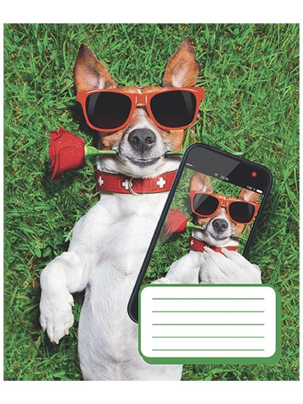 Тетрадь 12 листов в косую линию 