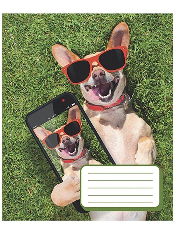 Тетрадь 12 листов в косую линию 