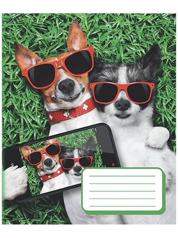 Тетрадь 12 листов в косую линию 