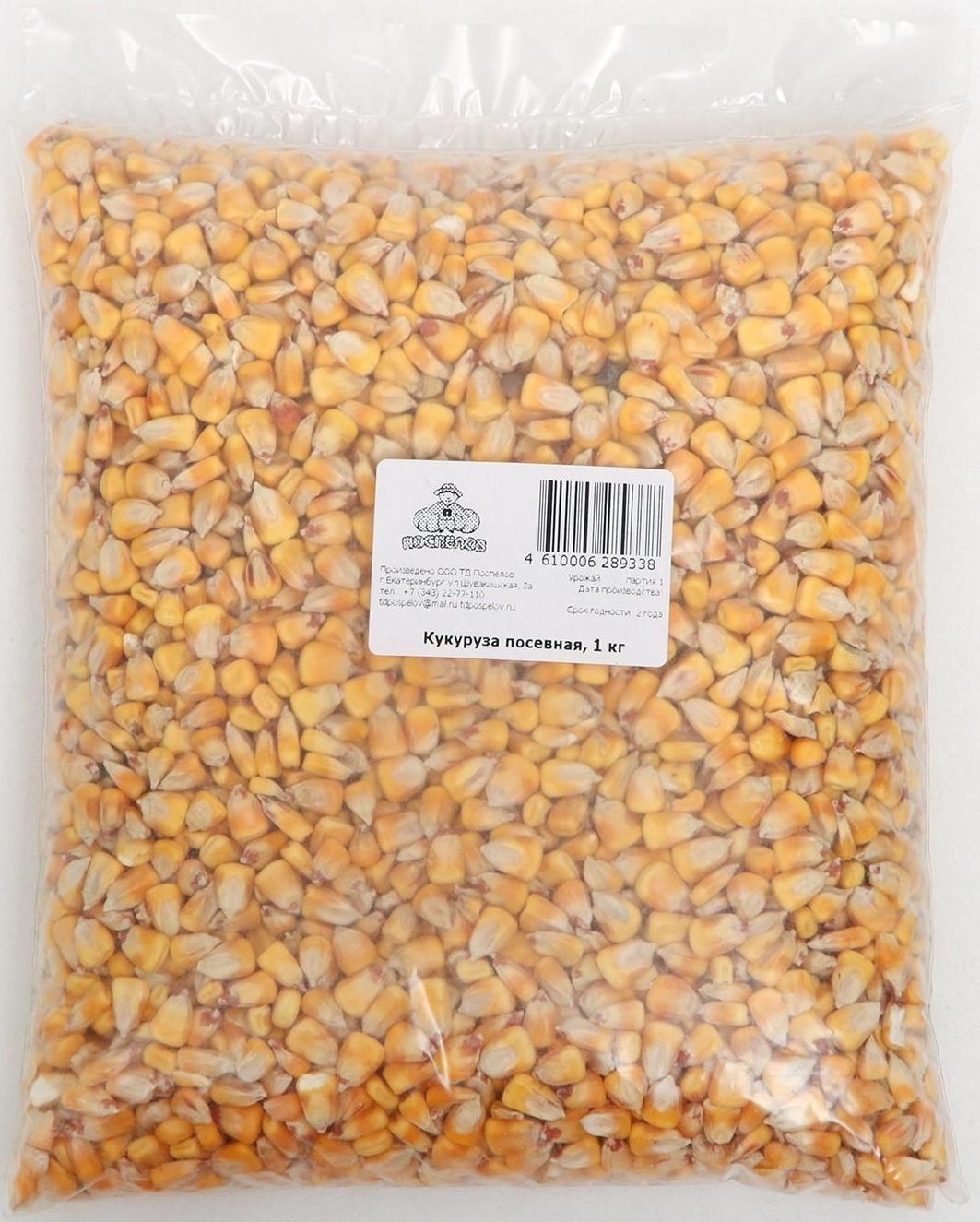 Семена Кукуруза посевная, 1 кг