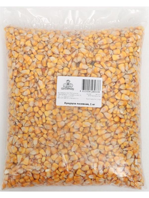 Семена Кукуруза посевная, 1 кг