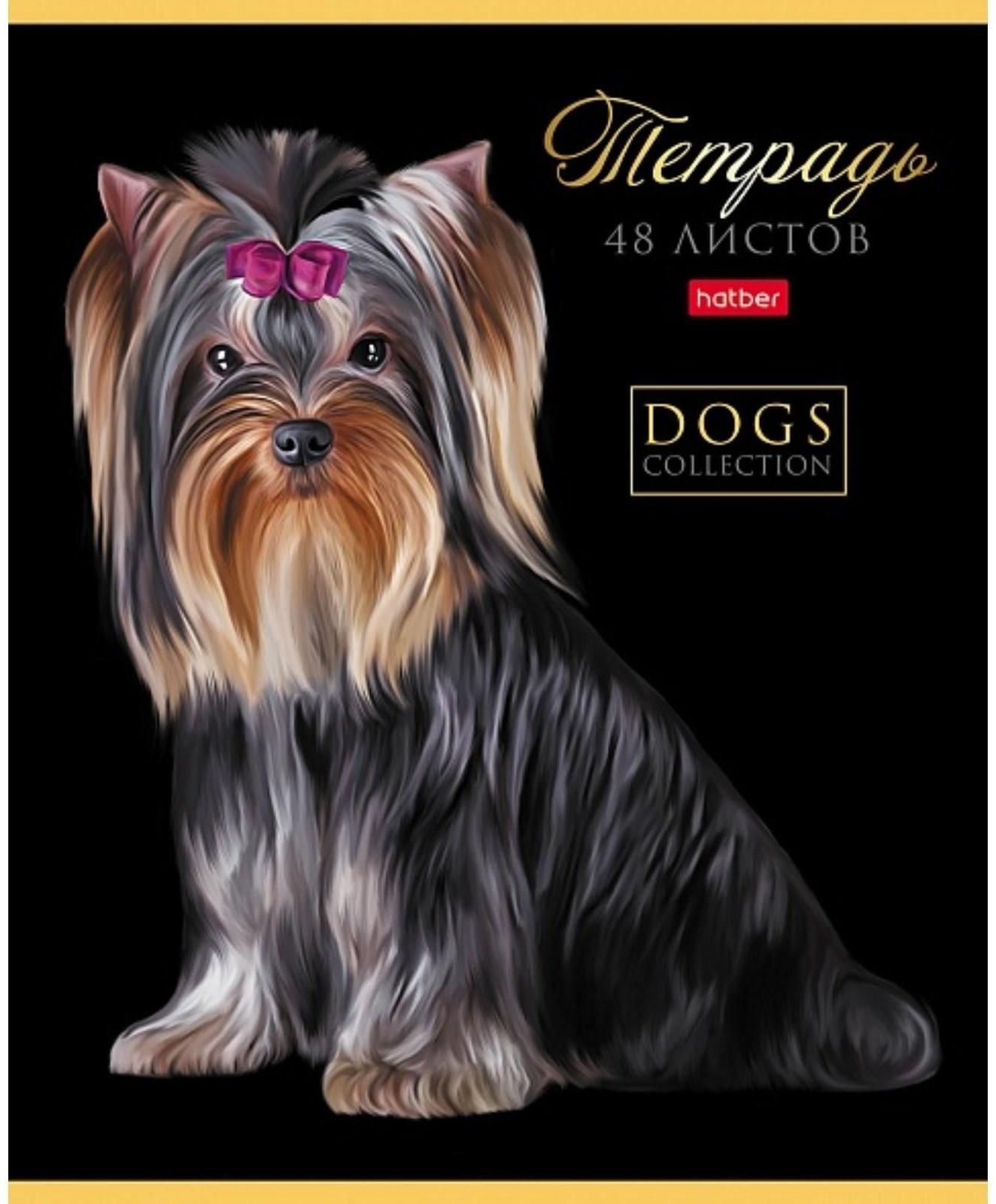 Тетрадь А5, 48 листов в клетку 