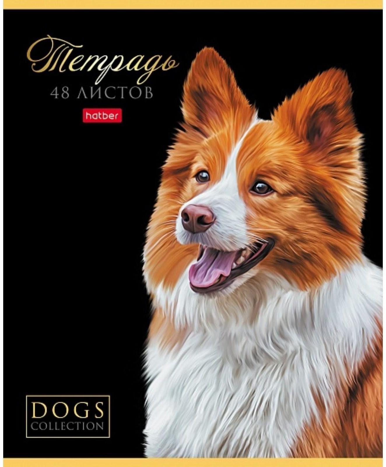 Тетрадь А5, 48 листов в клетку 