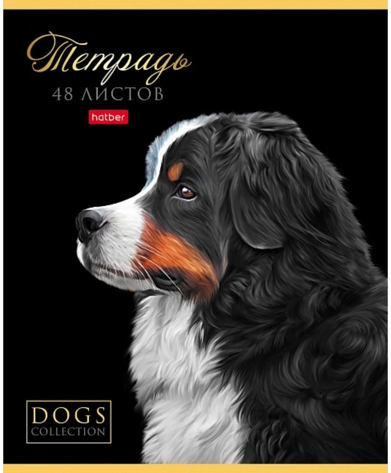 Тетрадь А5, 48 листов в клетку 