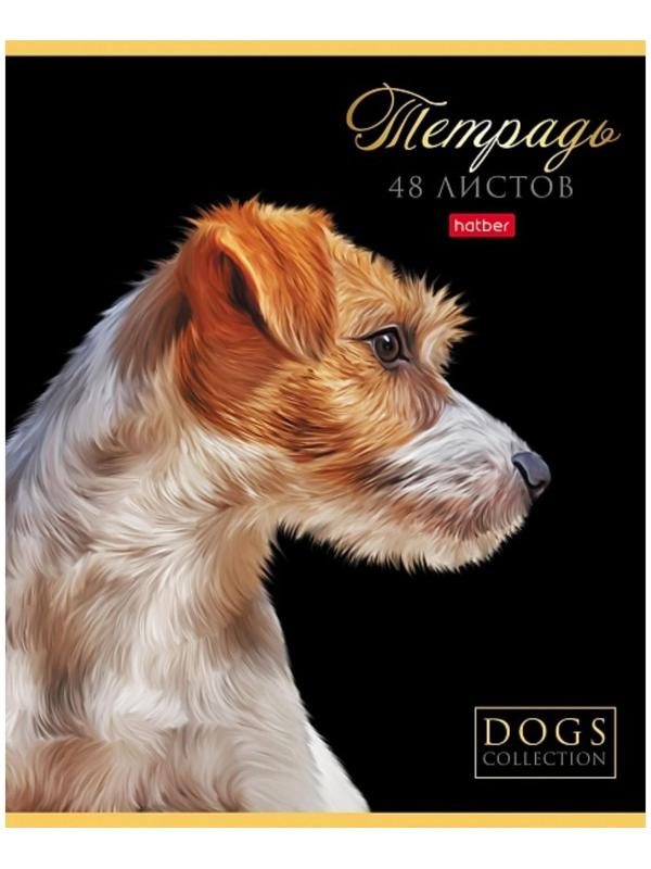 Тетрадь А5, 48 листов в клетку 