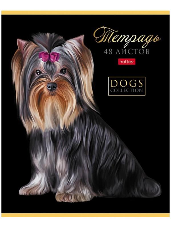 Тетрадь А5, 48 листов в клетку 