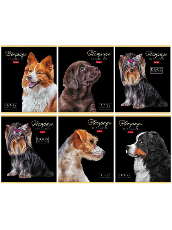 Тетрадь А5, 48 листов в клетку 