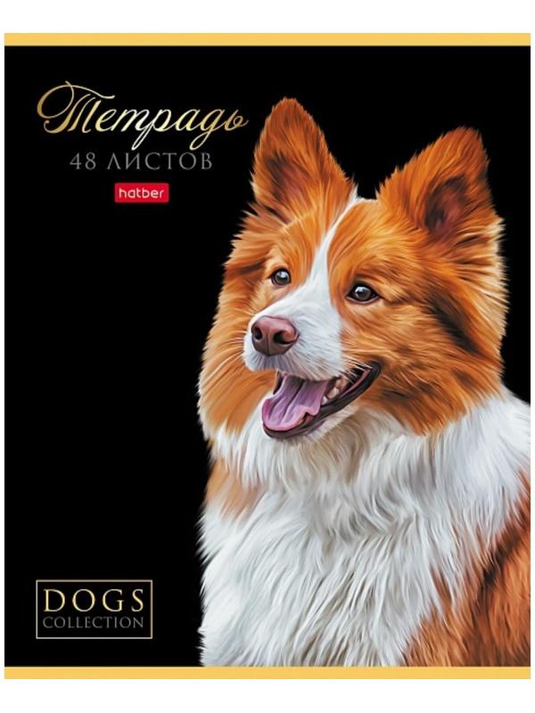 Тетрадь А5, 48 листов в клетку 