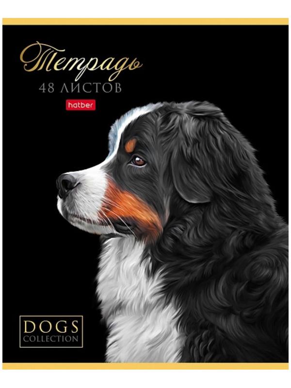 Тетрадь А5, 48 листов в клетку 