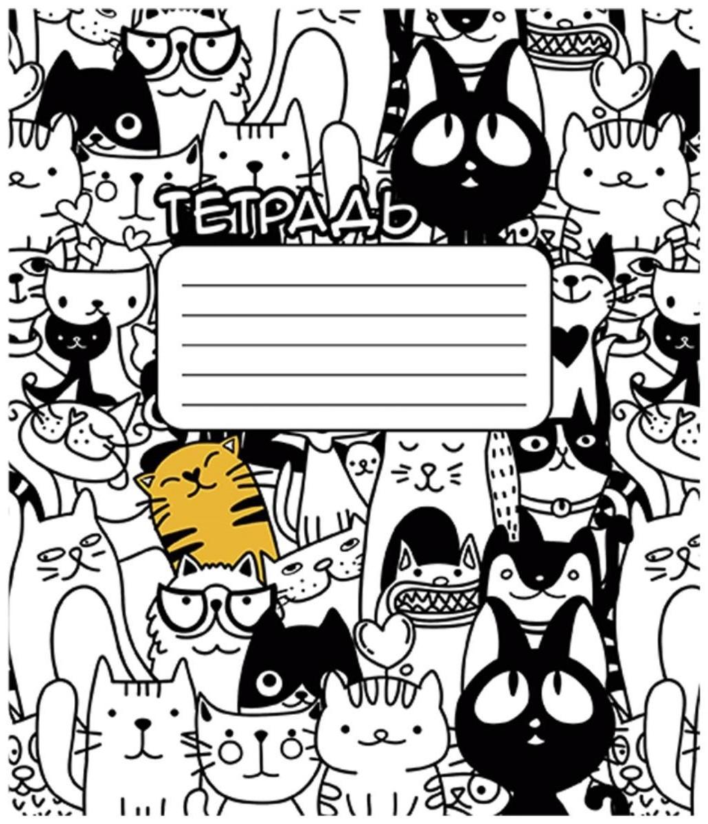 Тетрадь 24 листа в клетку 