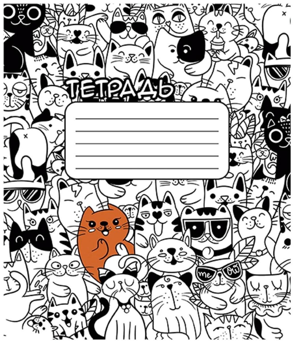 Тетрадь 24 листа в клетку 