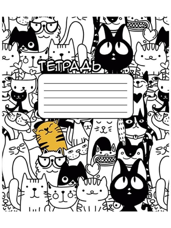 Тетрадь 24 листа в клетку 