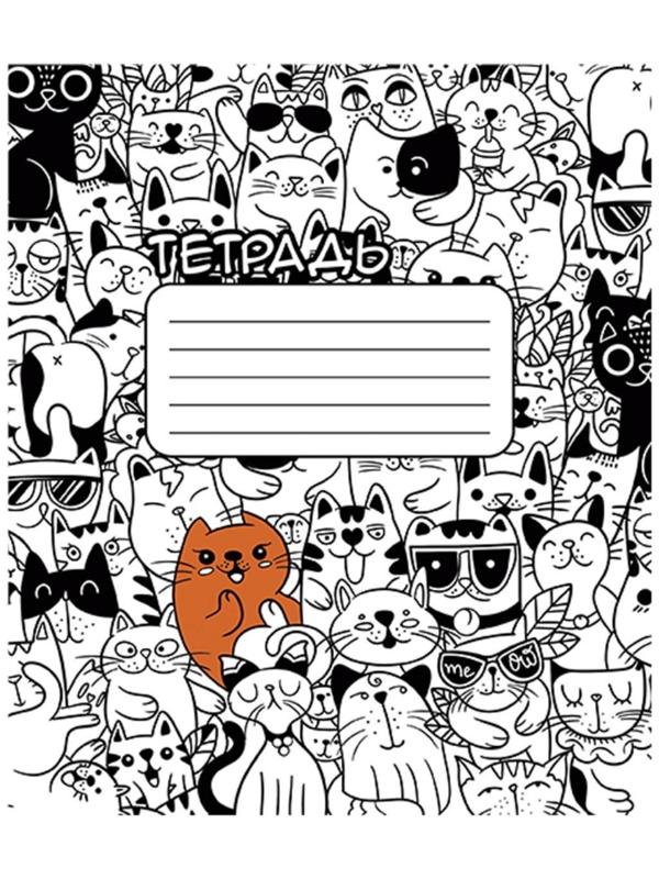 Тетрадь 24 листа в клетку 