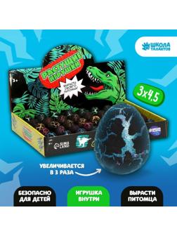 Растущие животные в чёрном яйце «Страна динозавров»