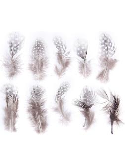 Набор перьев для декора 10 шт., размер 1 шт: 5 × 2 см, цвет коричневый с белым