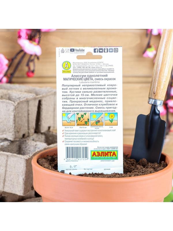 Семена цветов Алиссум 