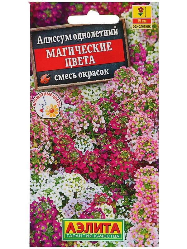 Семена цветов Алиссум 