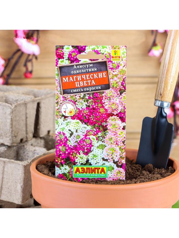 Семена цветов Алиссум 