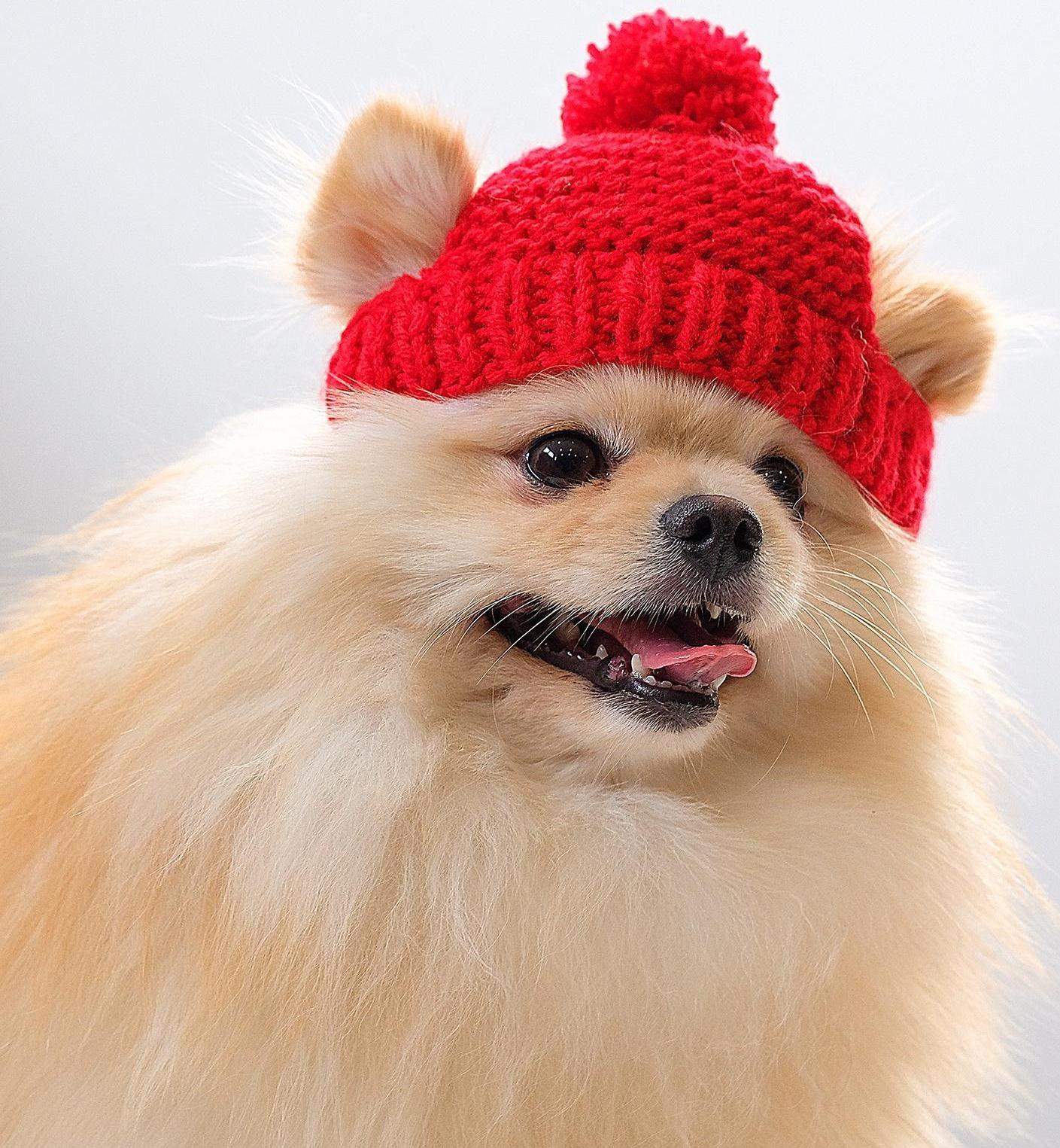 Вязанная шапочка с помпоном, XS-S, обхват головы 22 см, высота шапки 7,5 см, МИКС