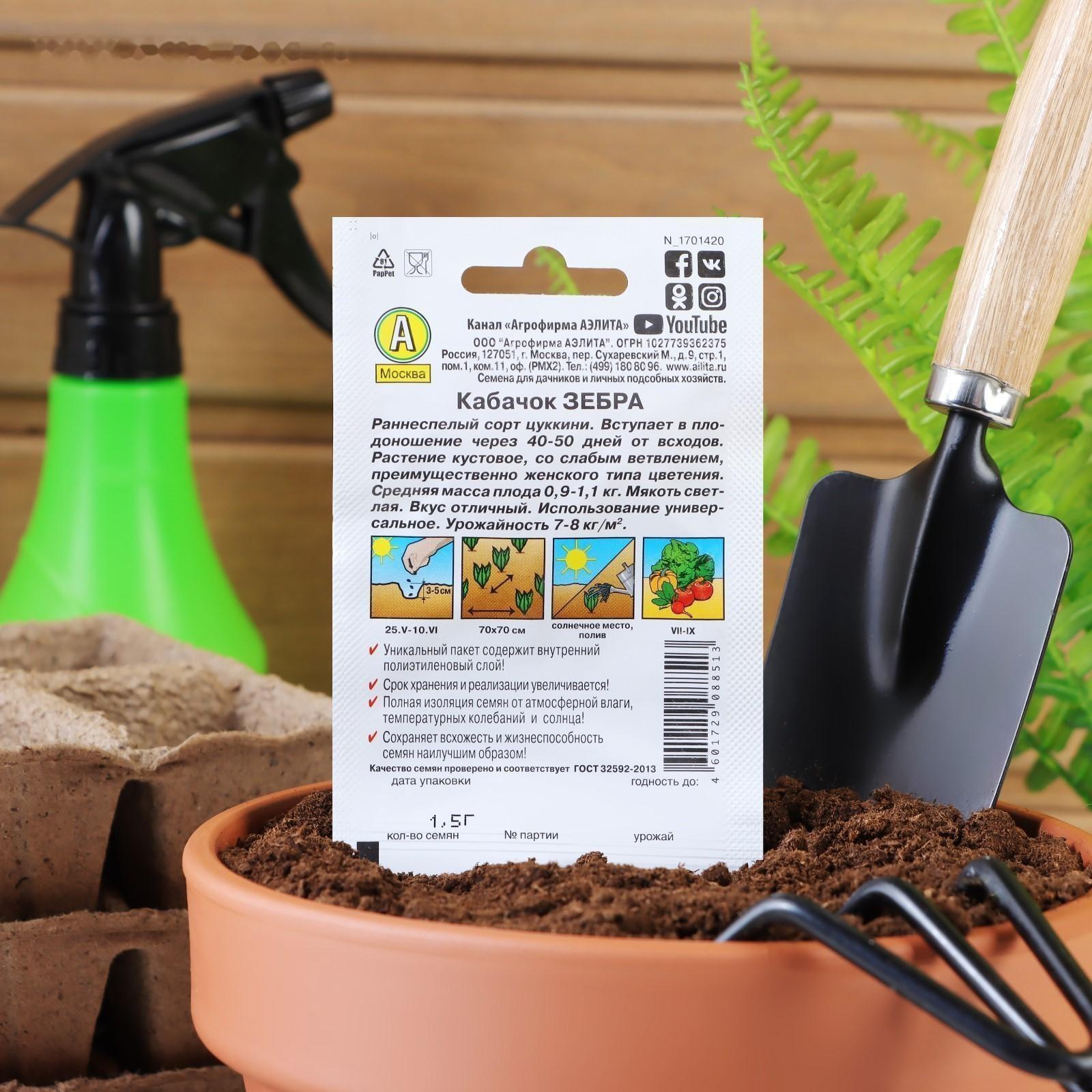 Семена Кабачок цуккини 