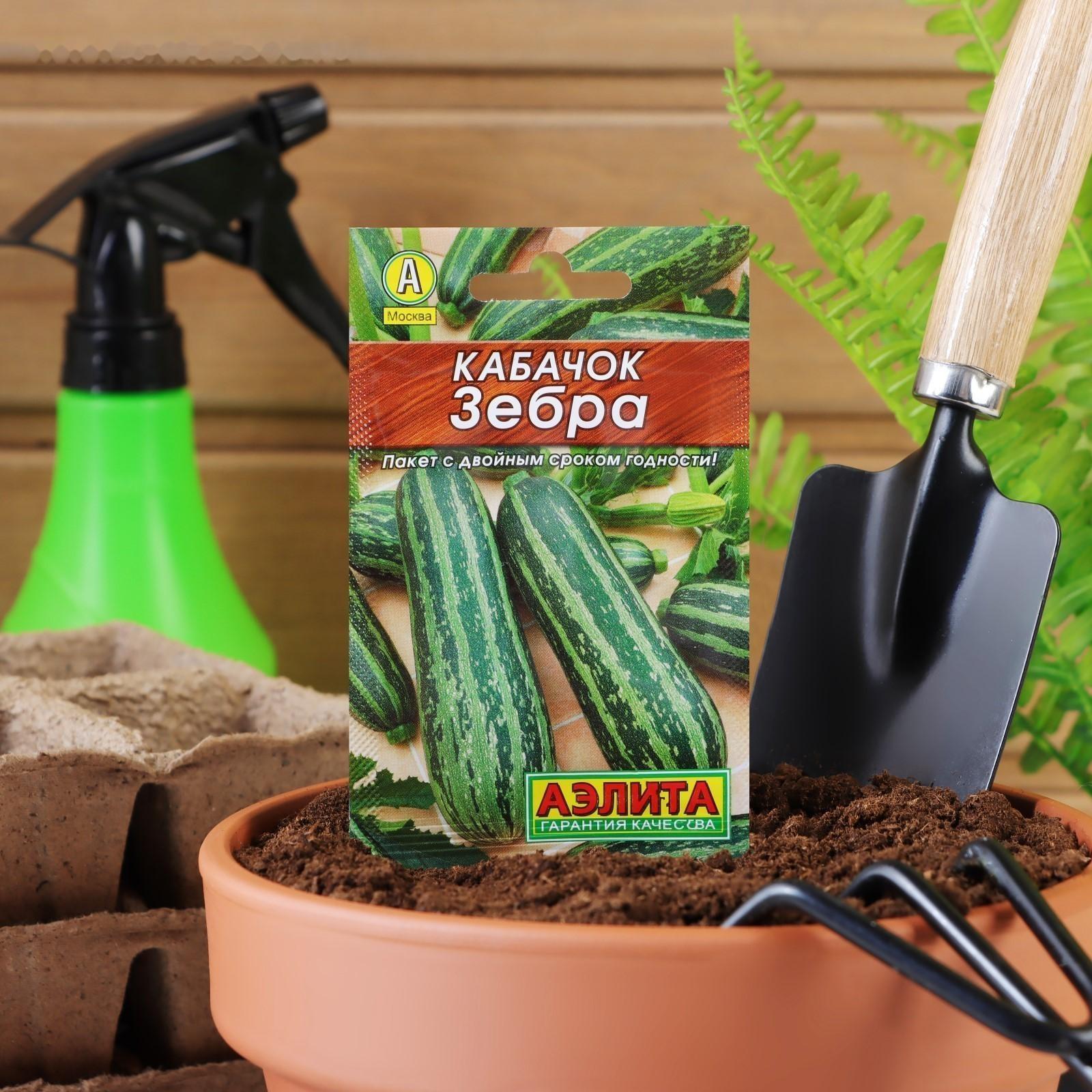 Семена Кабачок цуккини 