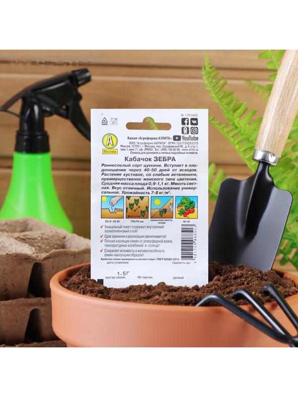 Семена Кабачок цуккини 