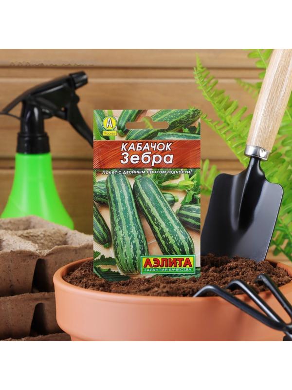 Семена Кабачок цуккини 