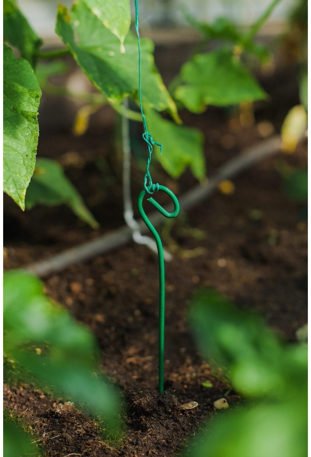 Колышек для подвязки растений, h = 30 см, d = 0,3 см, проволочный, зелёный, Greengo