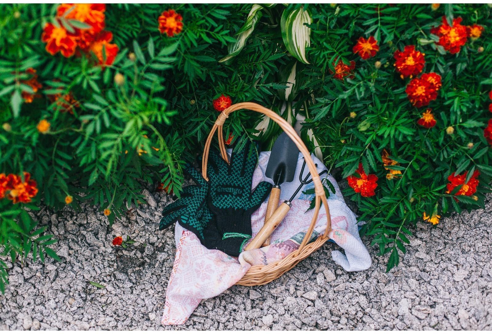 Набор садового инструмента, 2 предмета: рыхлитель, совок, длина 26 см, деревянные ручки