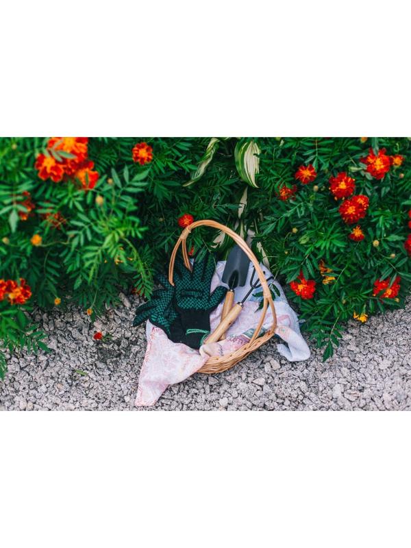 Набор садового инструмента, 2 предмета: рыхлитель, совок, длина 26 см, деревянные ручки