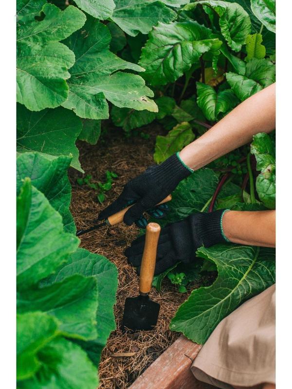 Набор садового инструмента, 2 предмета: рыхлитель, совок, длина 26 см, деревянные ручки