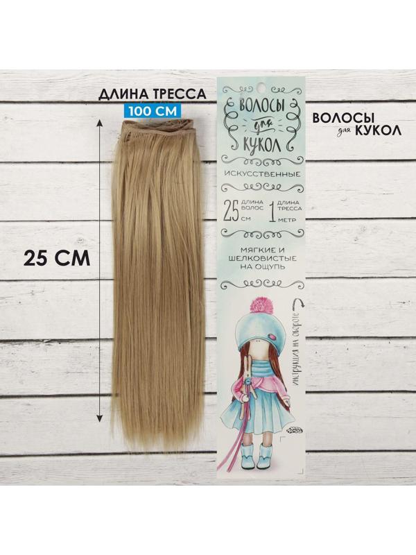 Волосы - тресс для кукол «Прямые» длина волос: 25 см, ширина:100 см, цвет № 16
