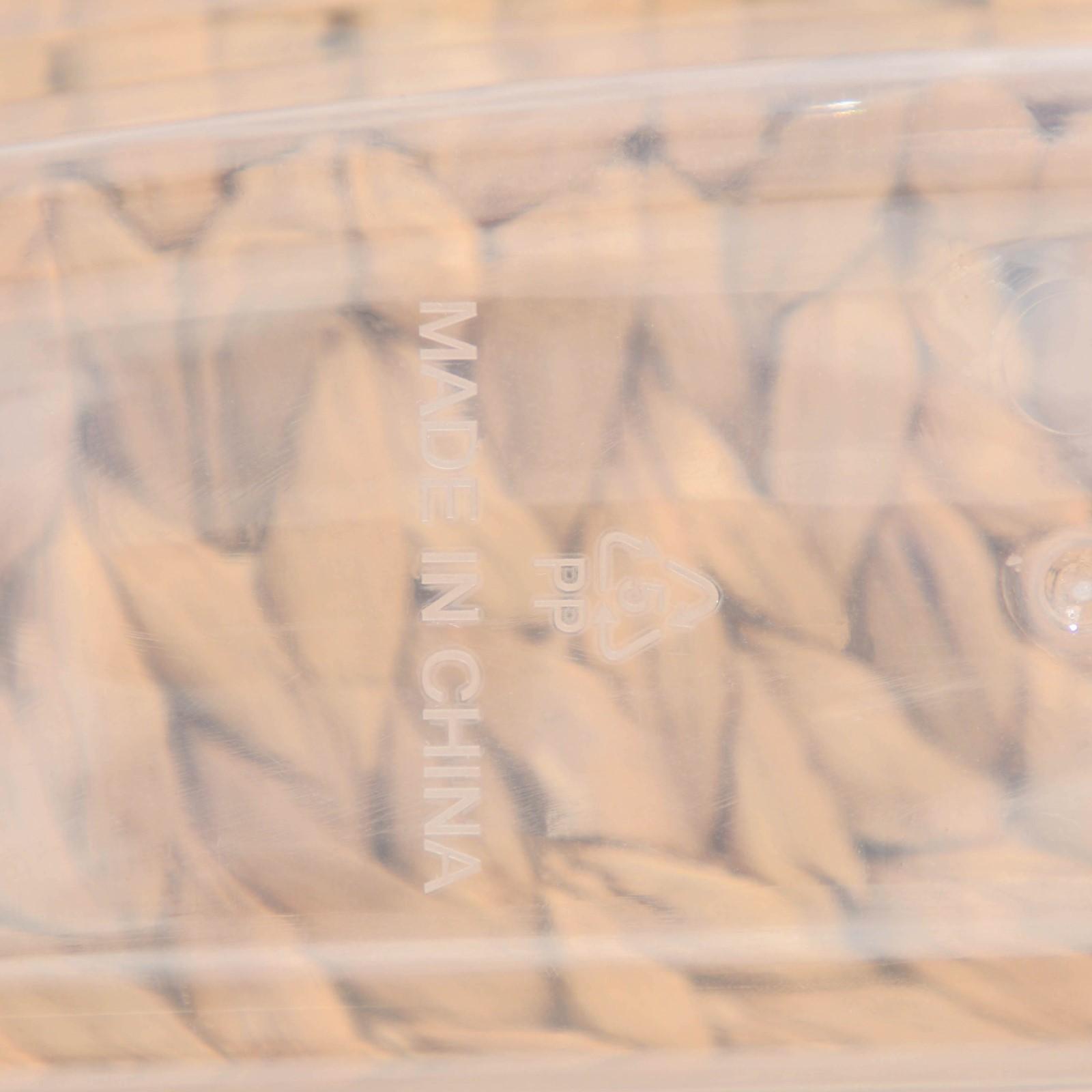 Ланч-бокс пластиковый прямоугольный, 21×14,5×5,5 см, 3 отделения: 200 мл, 200 мл, 400 мл, цвет МИКС