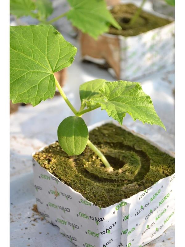 Субстрат минераловатный в кубике, 10 × 10 × 6.5 см, отверстие 15 × 15 мм, «Эковер»