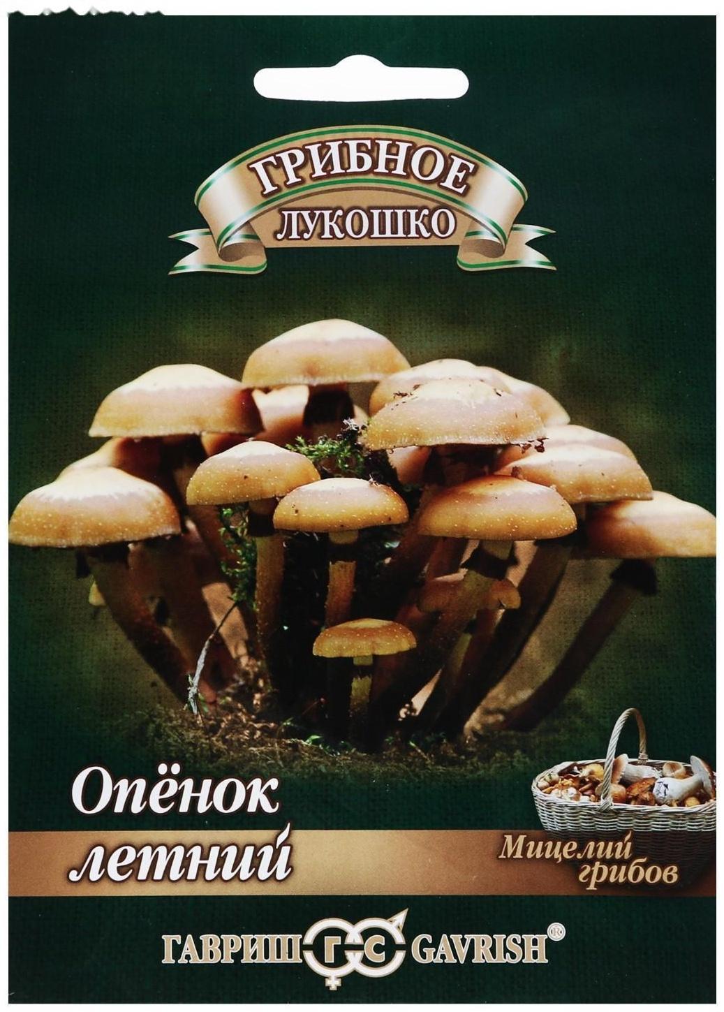 Мицелий на компосте 