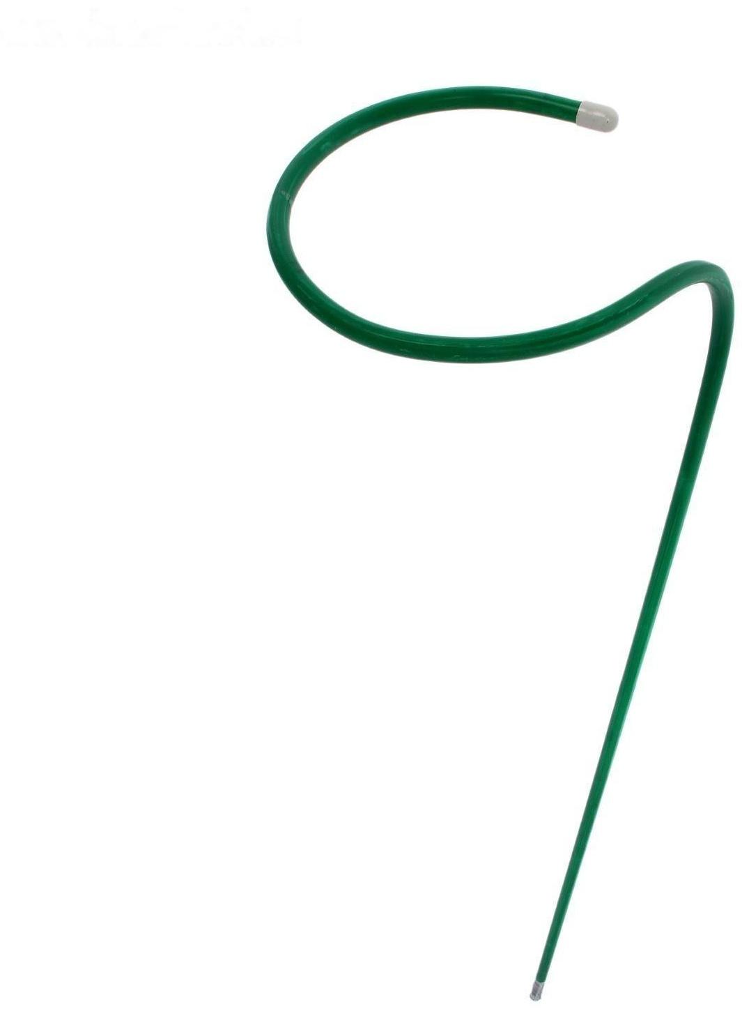 Кустодержатель для цветов, d = 30 см, h = 90 см, ножка d = 1 см, металл, зелёный