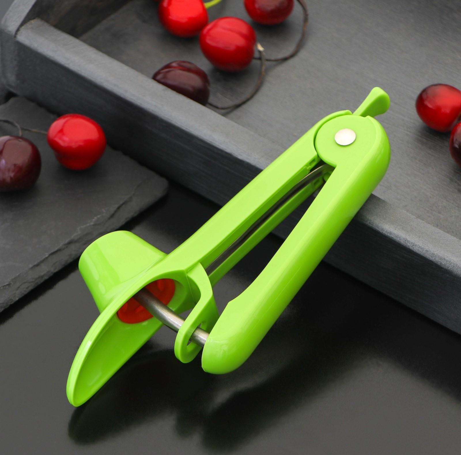 Удалитель косточки Доляна «Эдда», 20 см, цвет зелёный