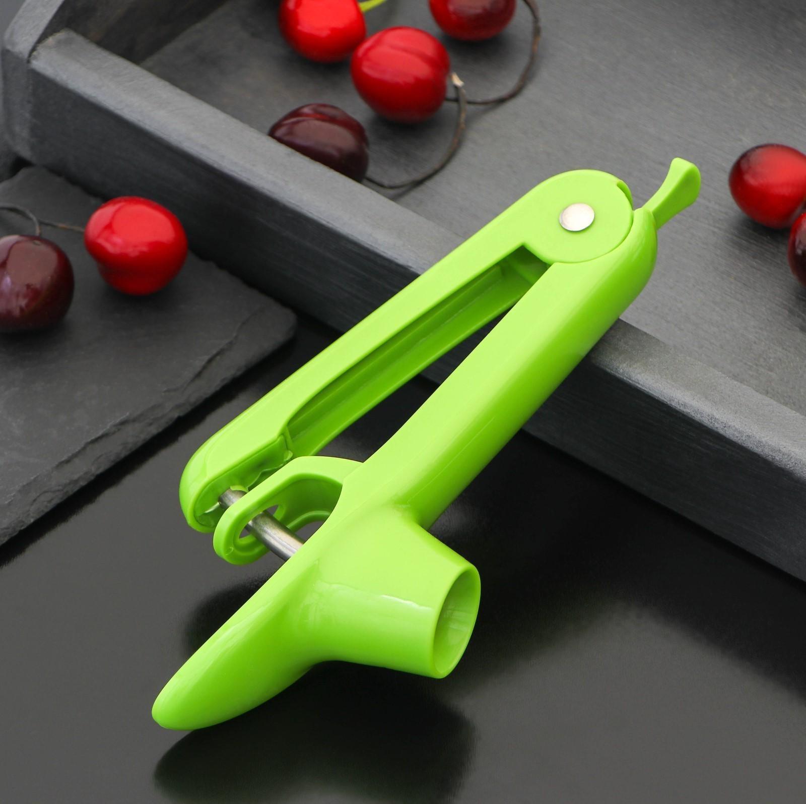 Удалитель косточки Доляна «Эдда», 20 см, цвет зелёный