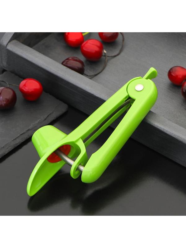 Удалитель косточки Доляна «Эдда», 20 см, цвет зелёный