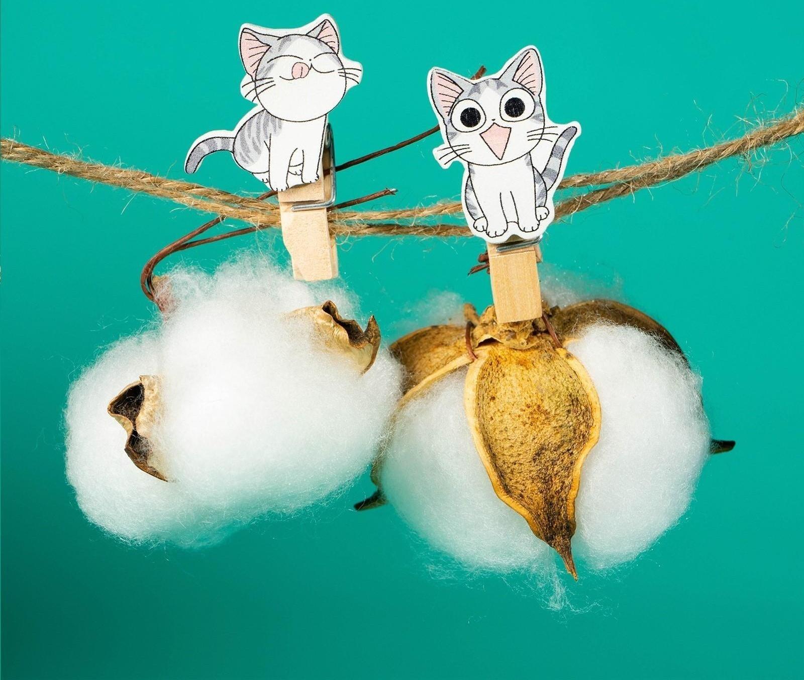 Набор для фото и декора «Котята», в наборе прищепки 10 шт., верёвка 100 см