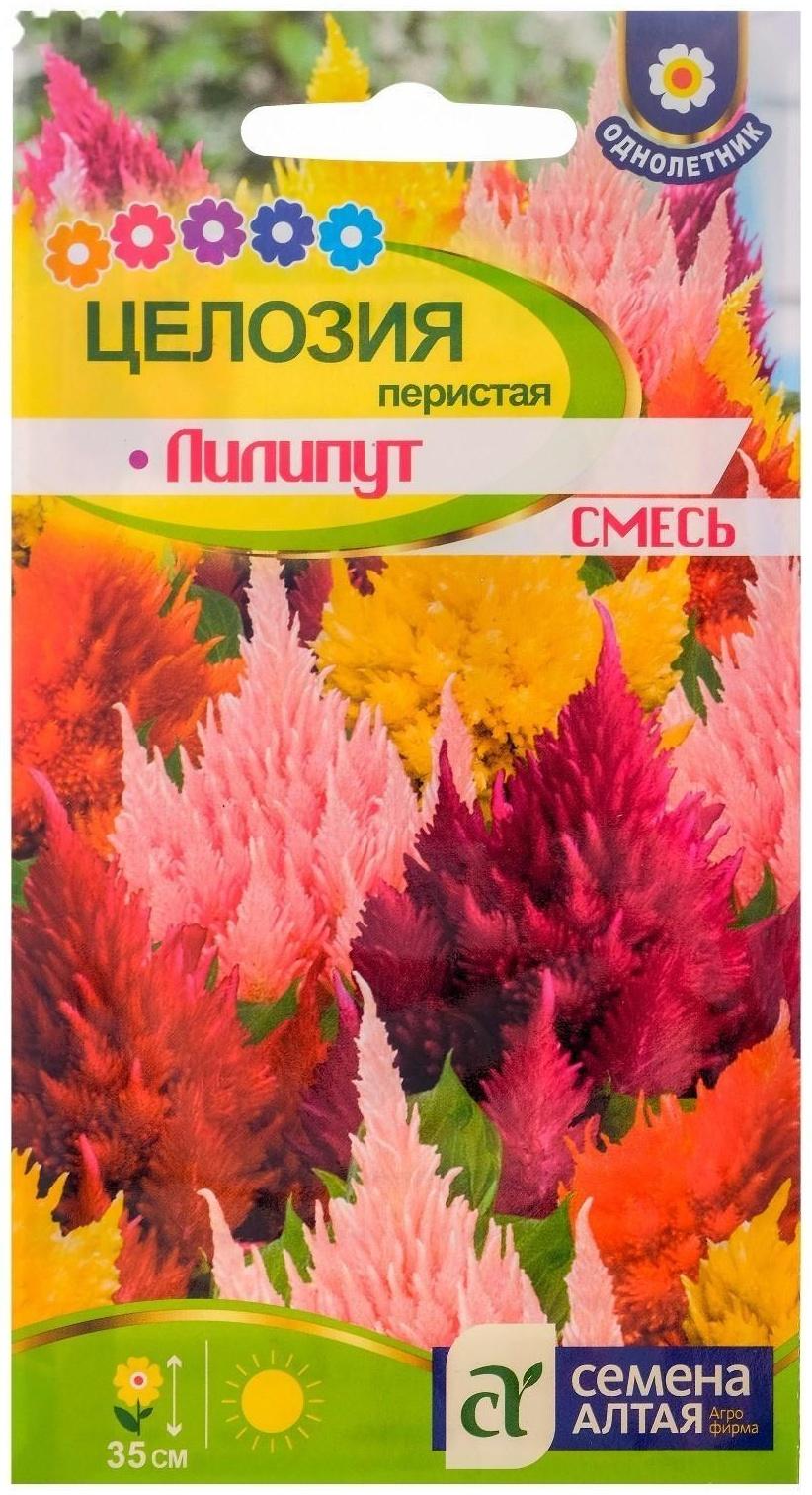 Семена цветов Целозия Лилипут смесь перистая, О, цп, 0,1 г