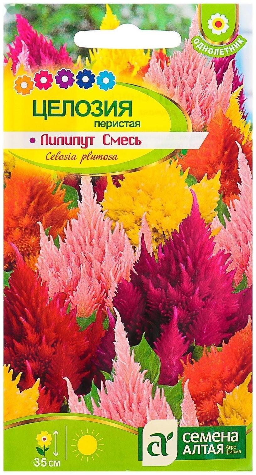 Семена цветов Целозия Лилипут смесь перистая, О, цп, 0,1 г