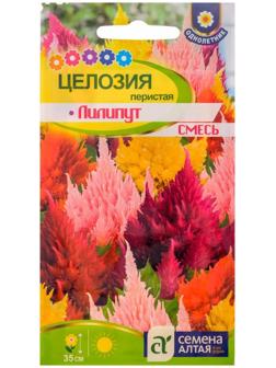 Семена цветов Целозия Лилипут смесь перистая, О, цп, 0,1 г