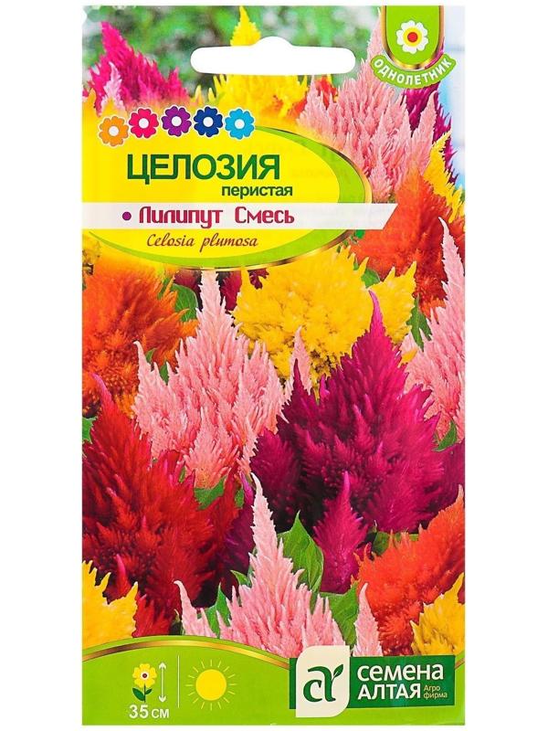 Семена цветов Целозия Лилипут смесь перистая, О, цп, 0,1 г