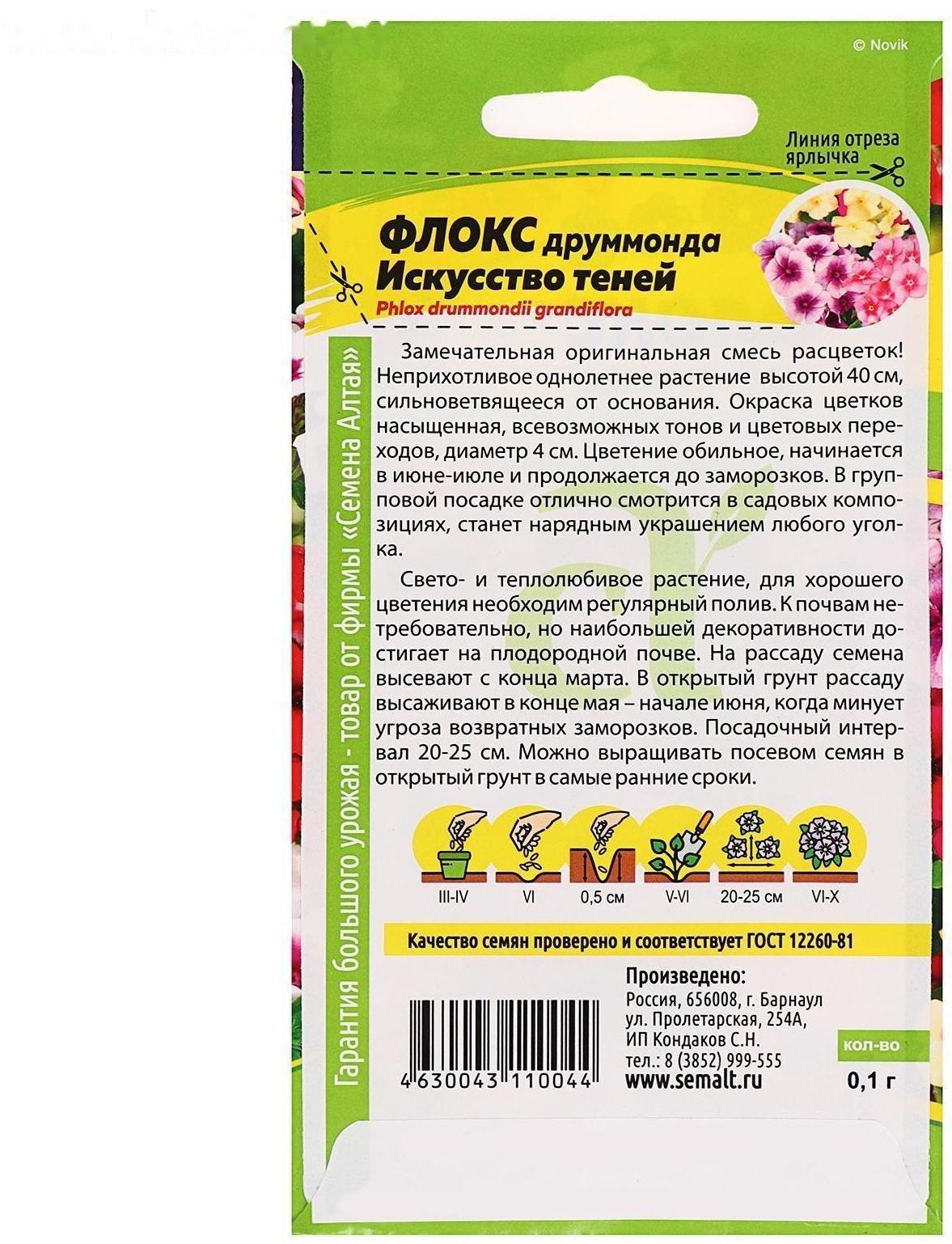 Семена цветов Флокс 