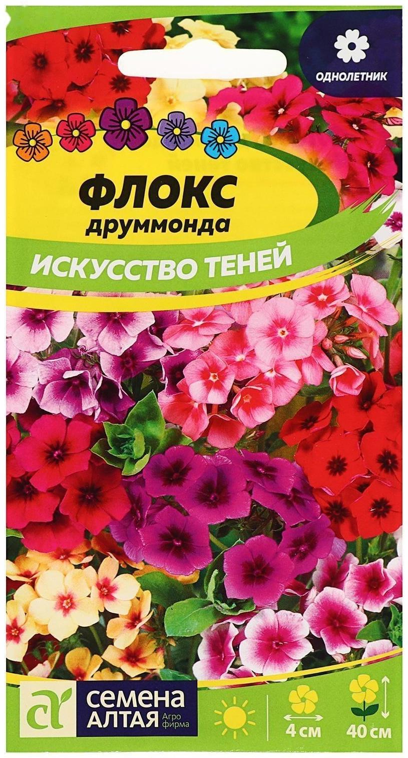 Семена цветов Флокс 