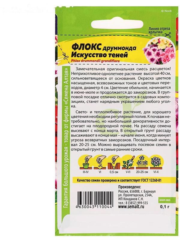 Семена цветов Флокс 