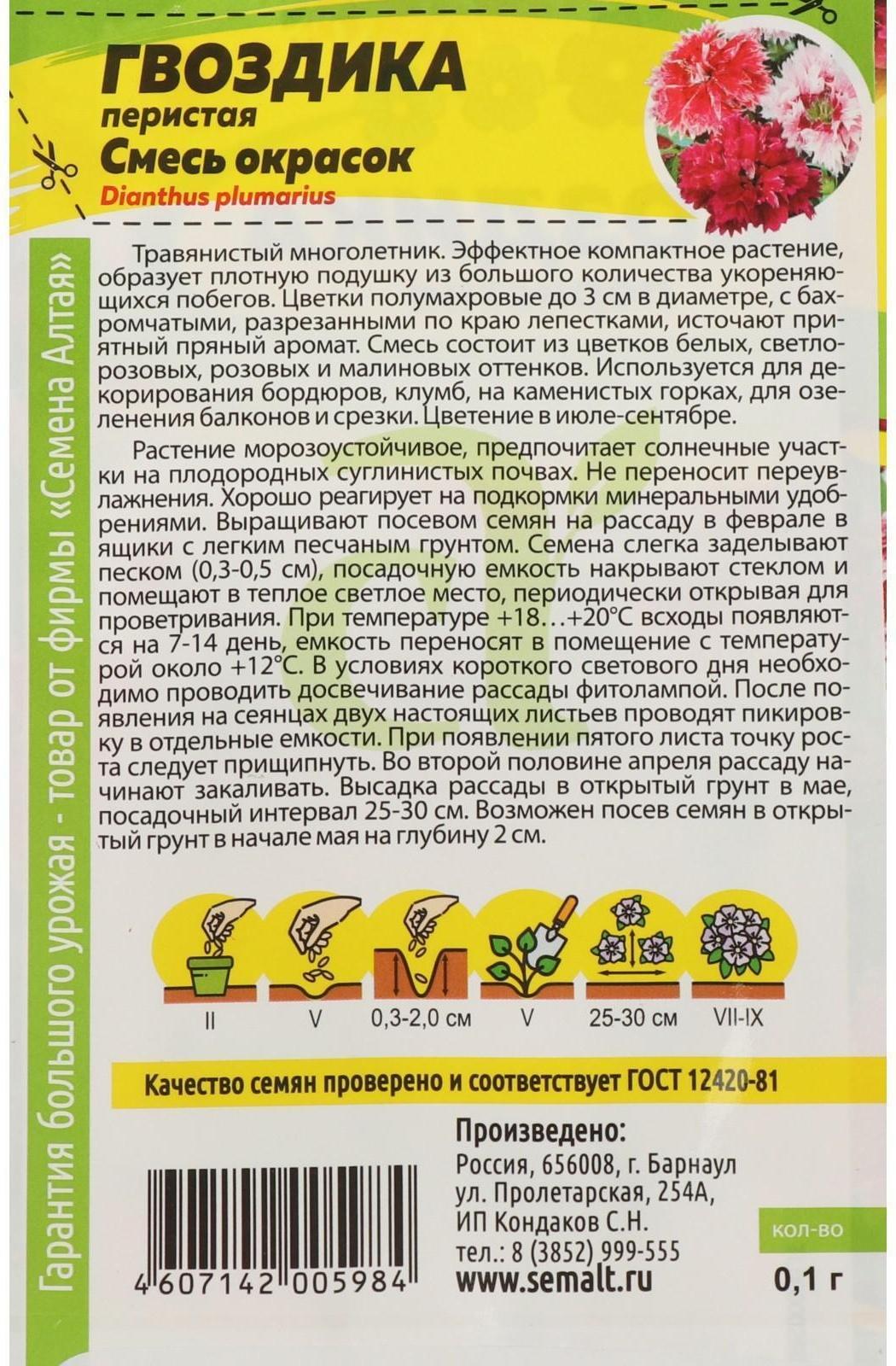 Семена цветов Гвоздика 