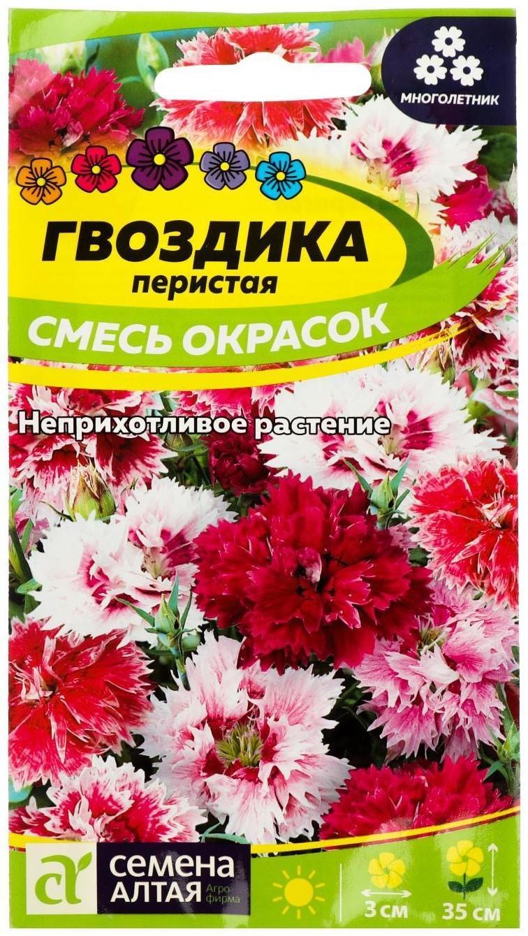 Семена цветов Гвоздика 