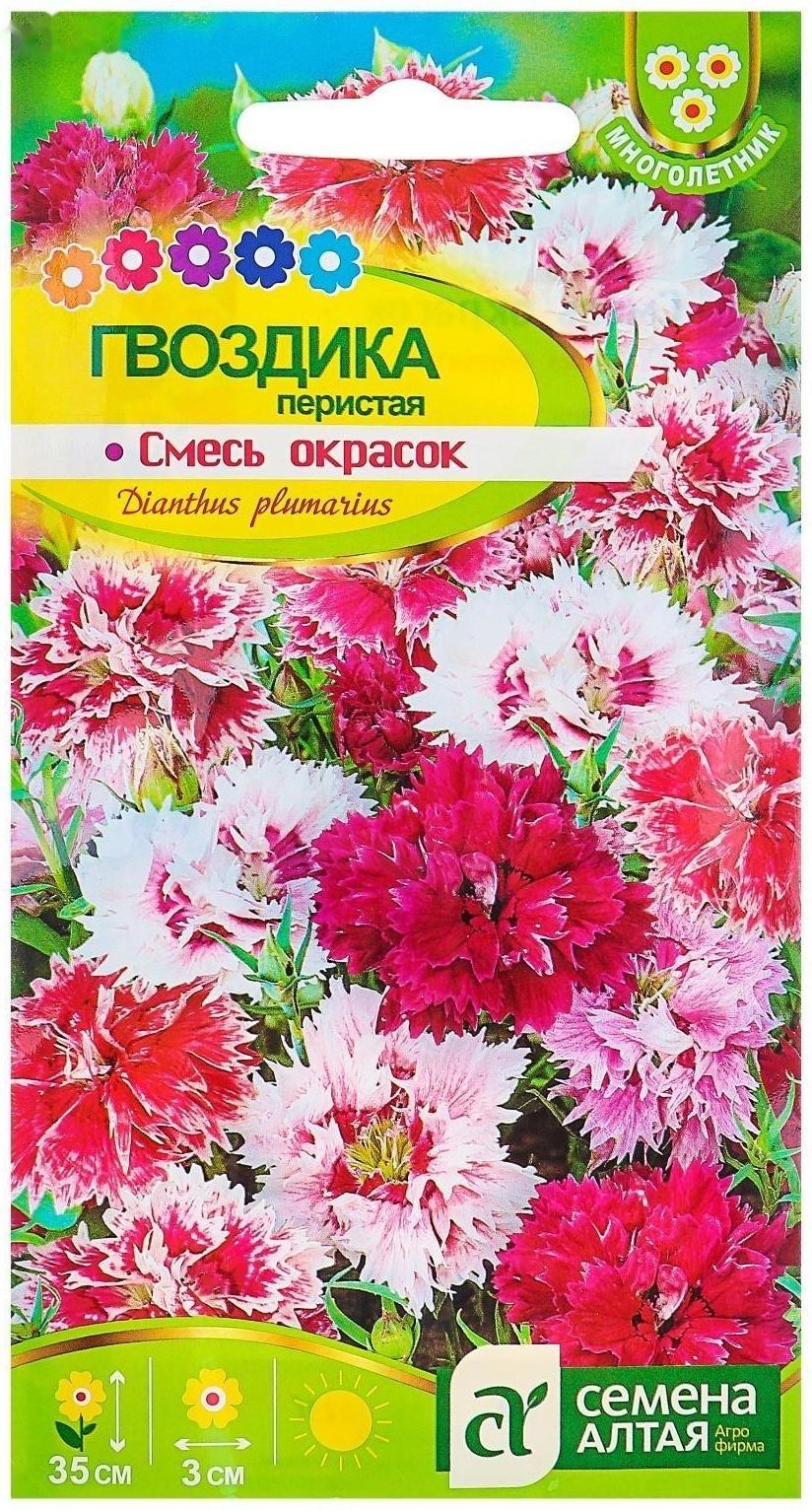 Семена цветов Гвоздика 